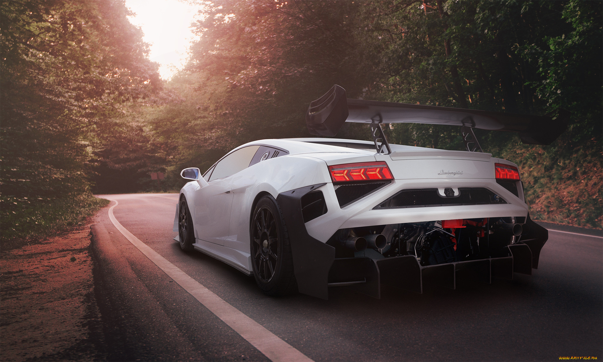 , lamborghini, stradale, super, trofeo, gallardo